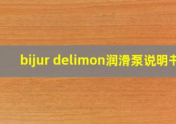 bijur delimon润滑泵说明书